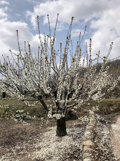 La Duquesa Del Valle Cabezuela Del Valle Dış mekan fotoğraf